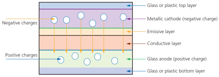 CAIE-IGCS-3.2.2-4.png