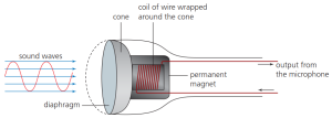 CAIE-IGCS-3.2.1-3.png