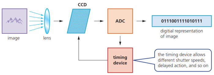 CAIE-IGCS-3.2.1-1.png